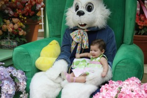 Meeting the Easter Bunny