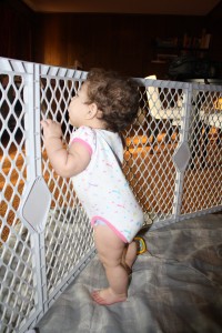 Standing at the Gate