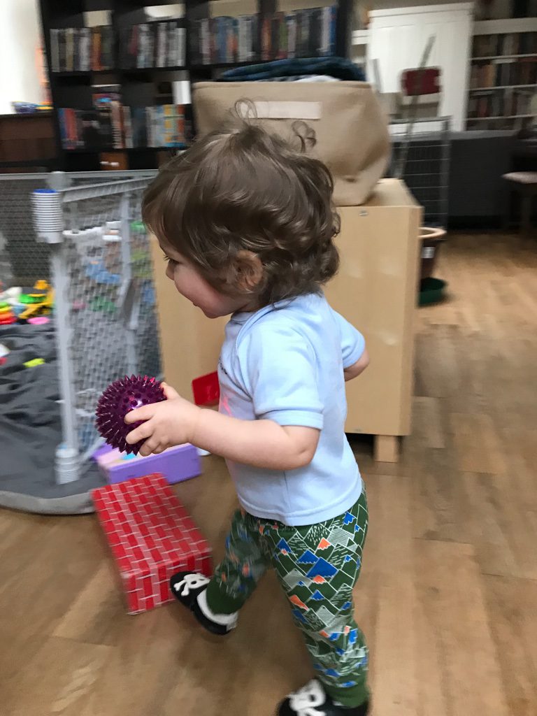 Sebastian on the go
